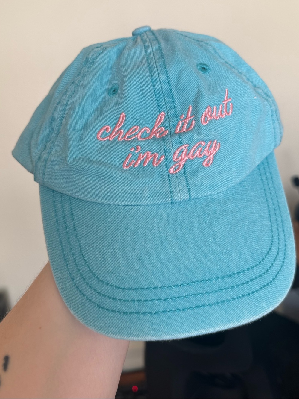 Check it out, I’m gay hat / OSFA adjustable / blue and pink